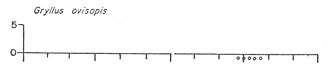 Gryllus ovisopis seasonal graph